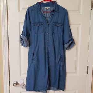 Denim Button-Up Dress